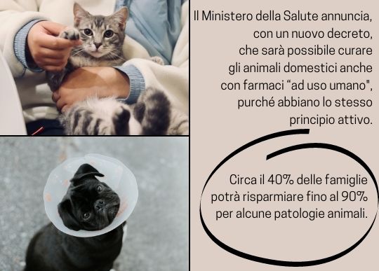 farmaci animali (1).jpg